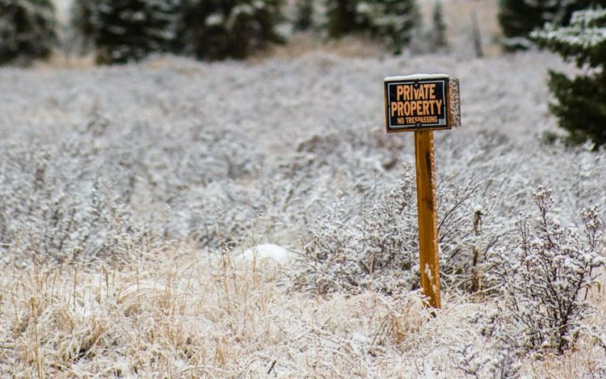 dedicated servers are like private property for your business