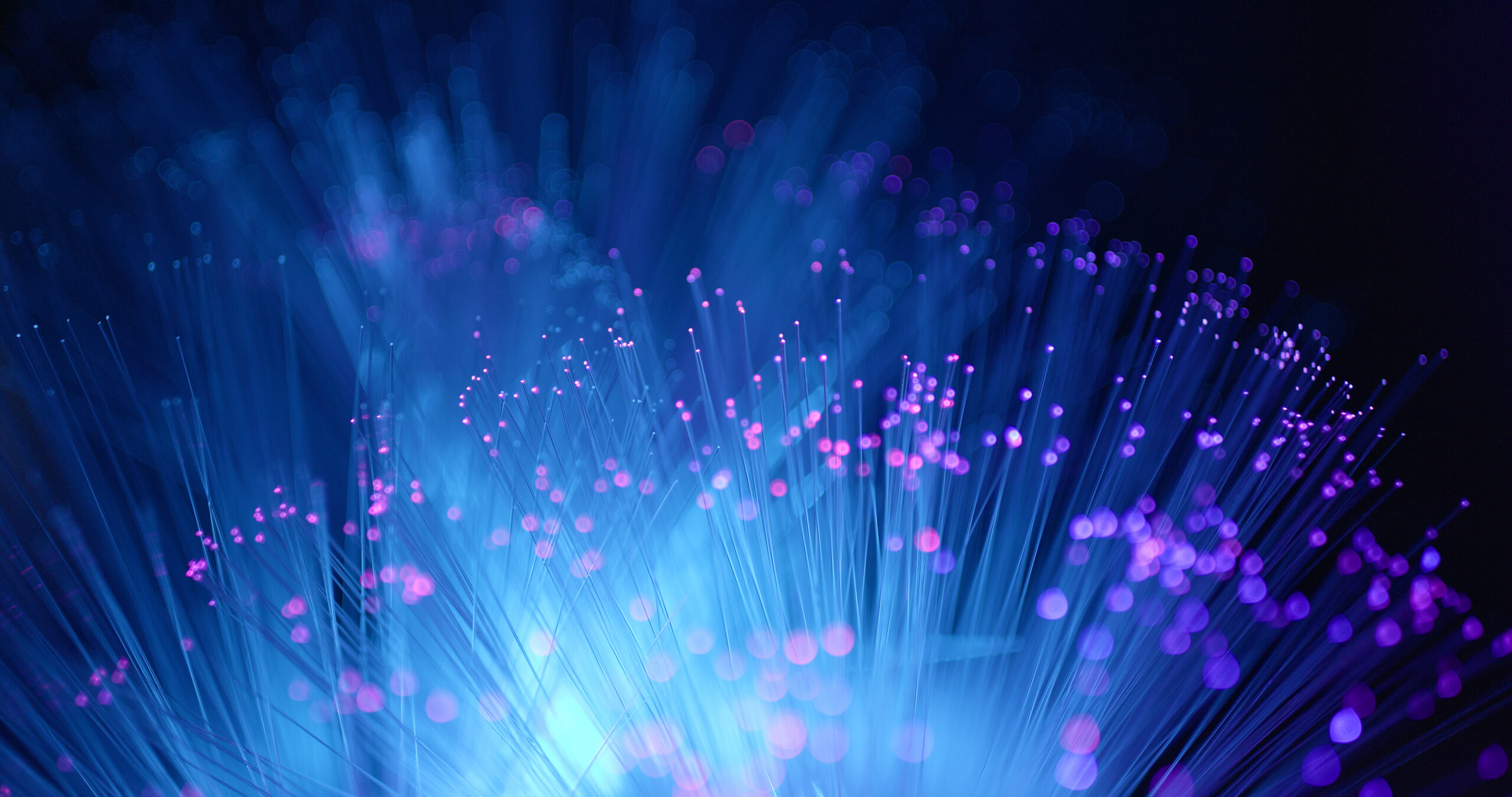 fiber network