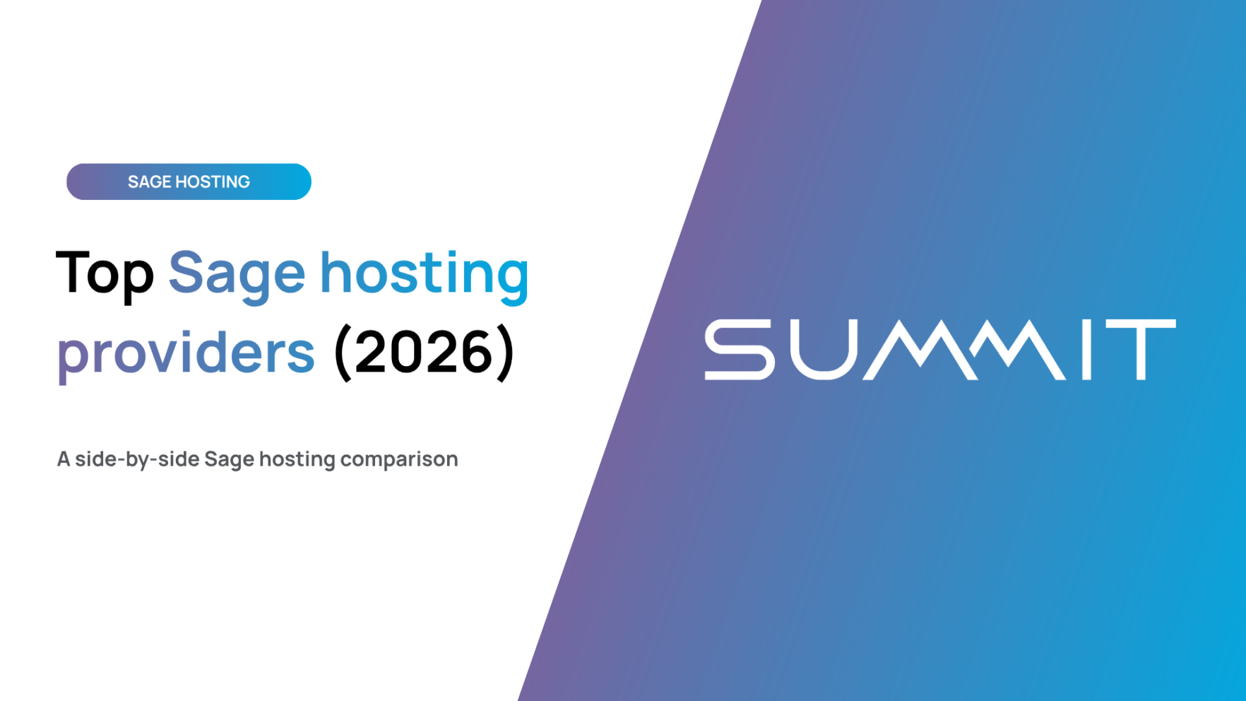 Top Sage providers 2026